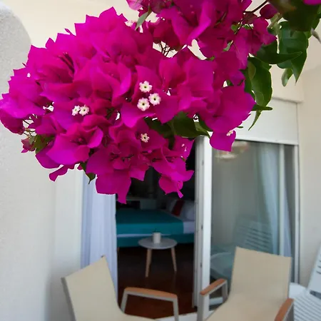 Bougainville Bay Hotel 5*